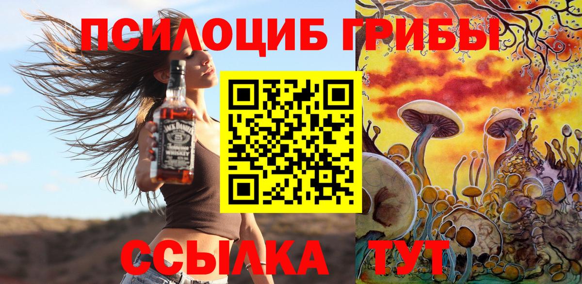 Псилоцибиновые грибы мицелий  Вход с VPN  Лениногорск 