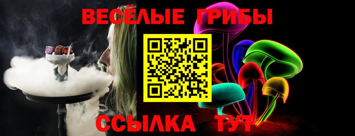 Псилоцибиновые грибы Cubensis Лениногорск